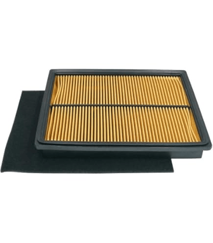 Honda 17218 ZG8 000 Filter