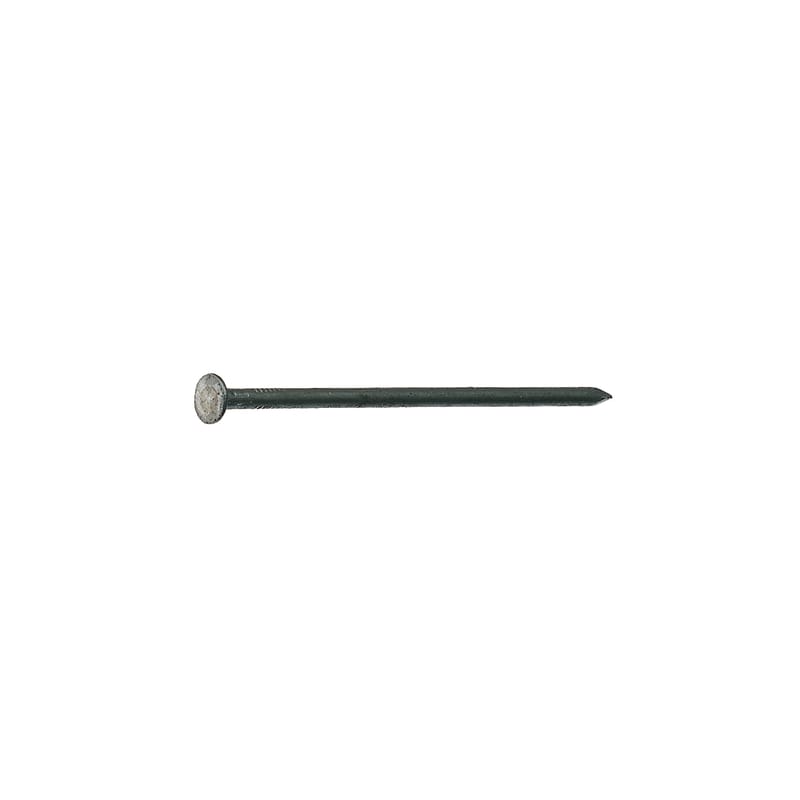 Grip-Rite 16BX 16D 3-1/2 in. Box Bright Steel Nail Flat Head 50 lb
