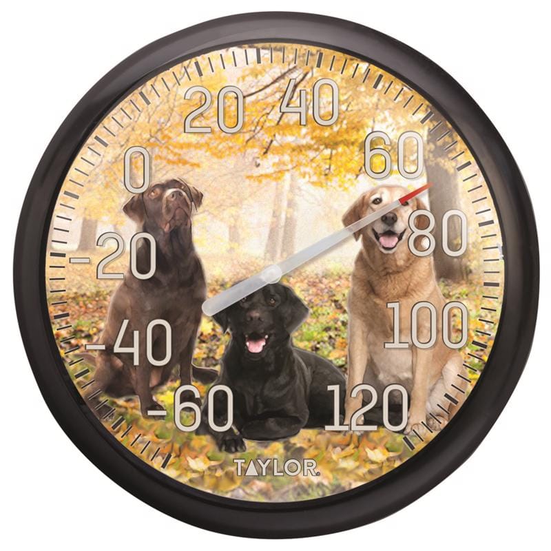 Taylor 6703N Dog Design Dial Thermometer Plastic Multicolored 13.25 in.