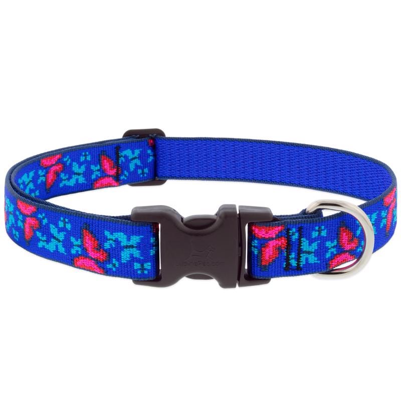 Lupinepet 54052 Blue/Pink Social Butterfly Nylon Dog Adjustable Collar Medium