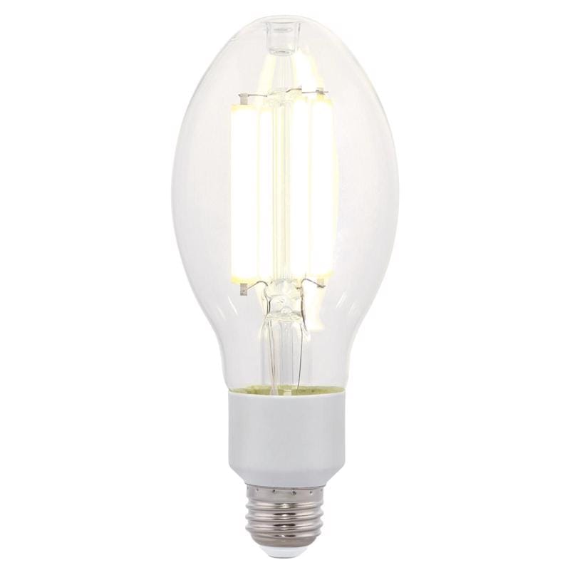 Westinghouse 5251000 ED23.5 E26 (Medium) Filament LED Bulb Daylight 150 Watt Equivalence 1 pk
