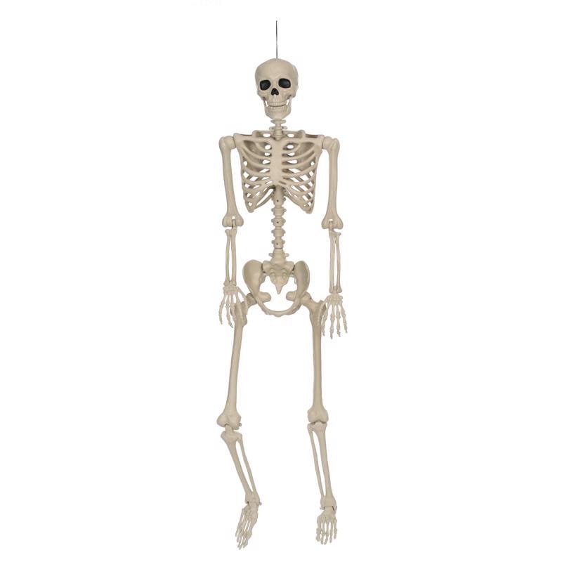 Seasons W83343 5 ft. Skeleton Halloween Decor