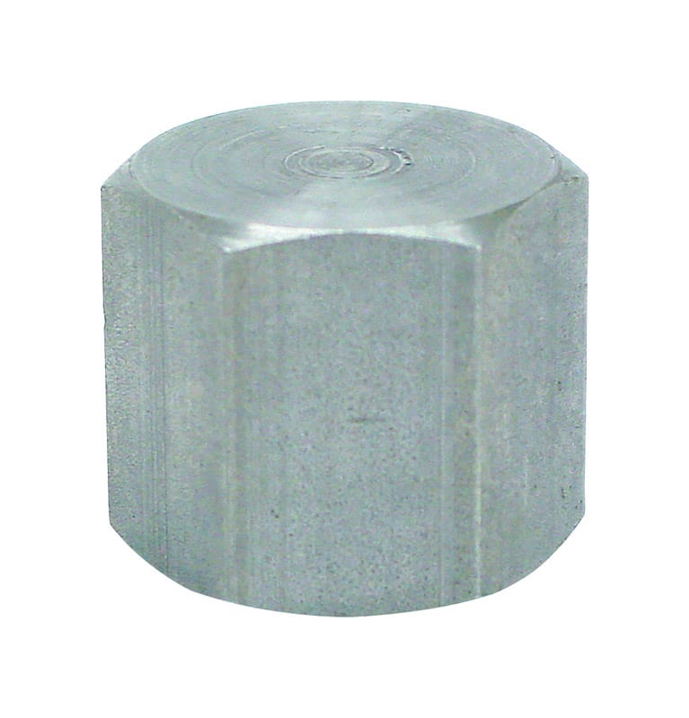 Anvil 8700132551 1/4 in. FPT Malleable Iron Cap