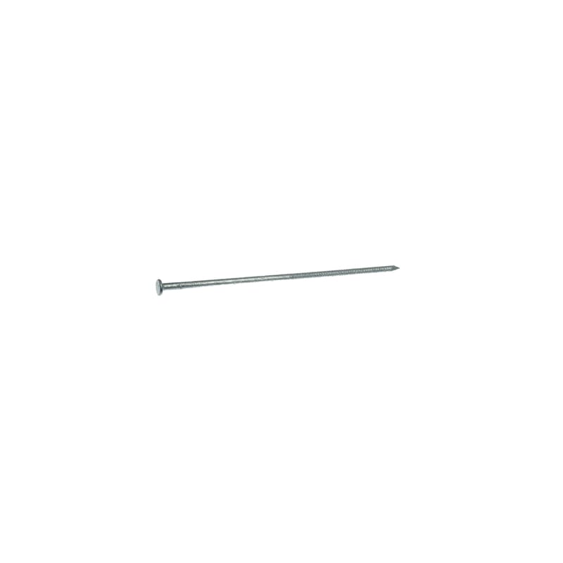 Grip-Rite 60HGTPO 60D 6 in. Pole Barn Hot-Dipped Galvanized Steel Nail Flat Head 50 lb