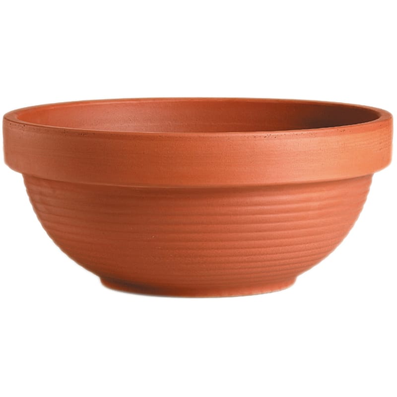 Deroma 07270PE 5.2 in. H X 10.6 in. W X 10.6 in. D X 10.6 in. D Clay Low Bowl Planter Terracotta