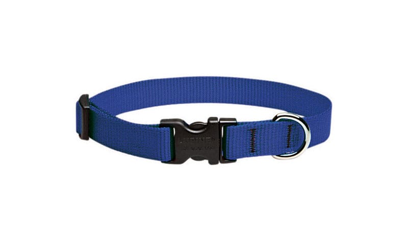 Lupinepet 17501 Basic Solids Blue Blue Nylon Dog Adjustable Collar