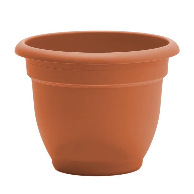 Bloem 20-56108 Ariana 7 in. H X 8.75 in. W Resin Traditional Planter Terracotta