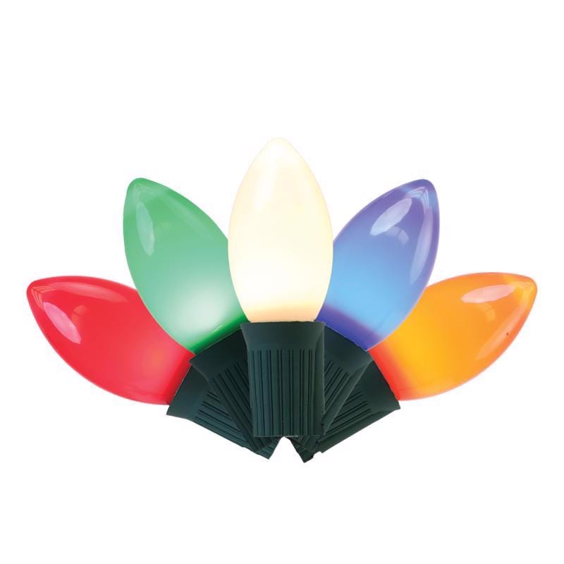 Celebrations RC925OMUA Classic LED C9 Multicolored 25 ct String Christmas Lights 24 ft.