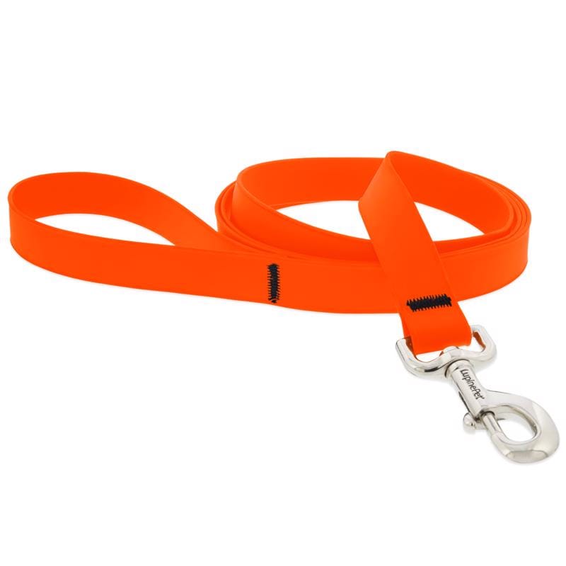 Lupinepet 28559 Splash Neon Orange BioThane Dog Leash