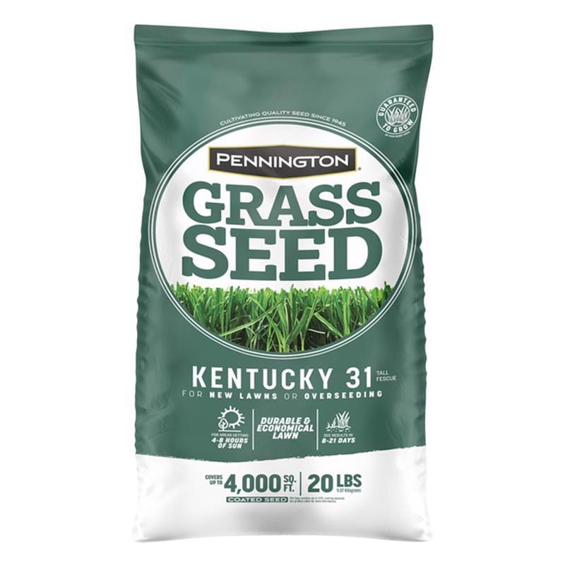 Pennington 100543701 Kentucky 31 Tall Fescue Grass Sun or Shade Grass Seed 20 lb