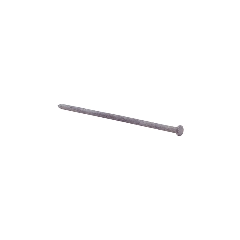 Grip-Rite 8HGSPK 8 in. Spike Hot-Dipped Galvanized Steel Nail Flat Head 50 lb