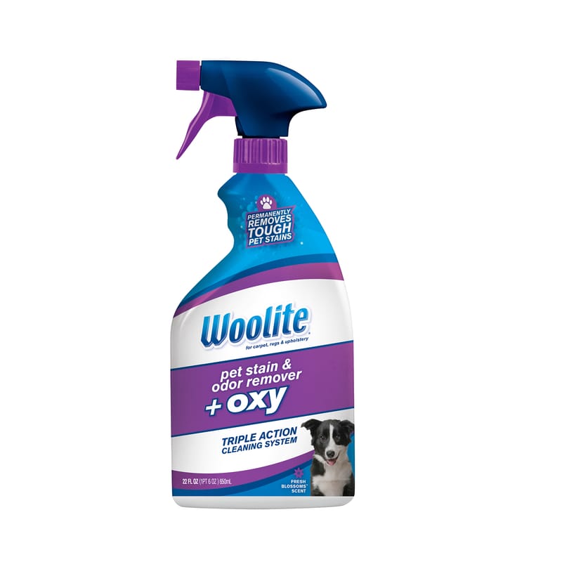 Woolite 0890 Cat/Dog Odor/Stain Remover 22 oz