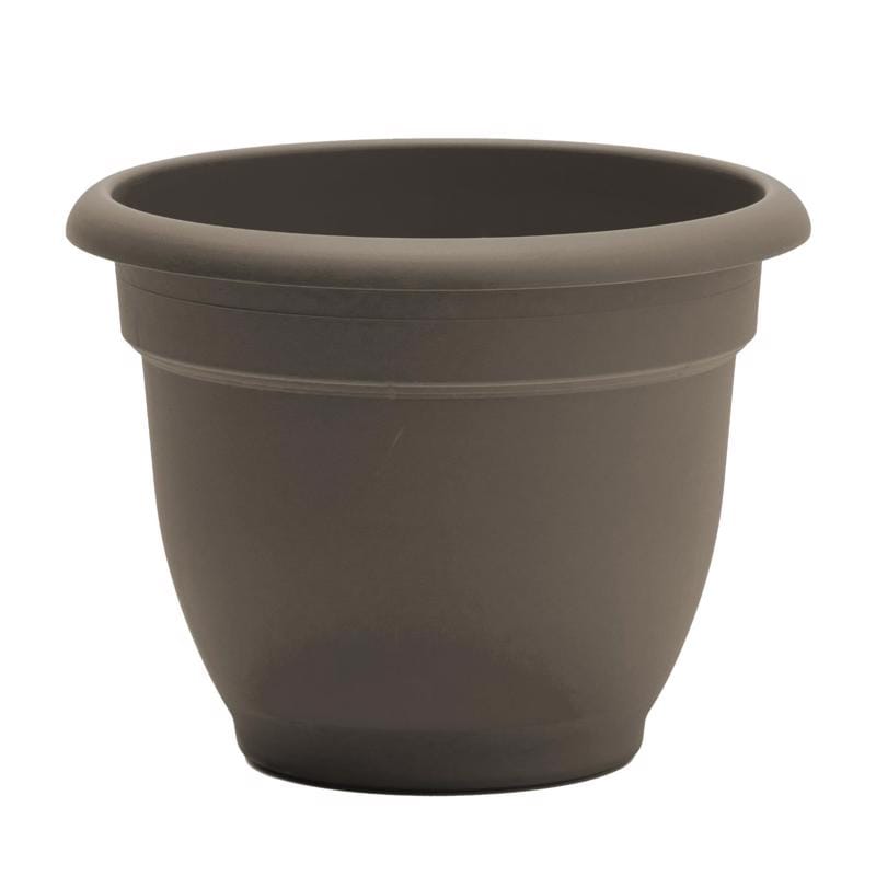 Bloem AP1260 Ariana 10.25 in. H X 13 in. W X 12 in. D Plastic Traditional Planter Peppercorn