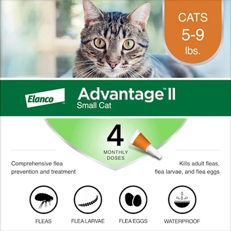 Elanco 81520208-AOC Advantage II Liquid Cat Flea Drops Imidacloprid/Pyriproxyfen 0.056 oz