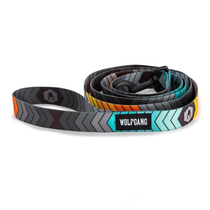 Wolfgang WL-003-108 Multicolored ChevTech Polyester Dog Leash Medium/Large