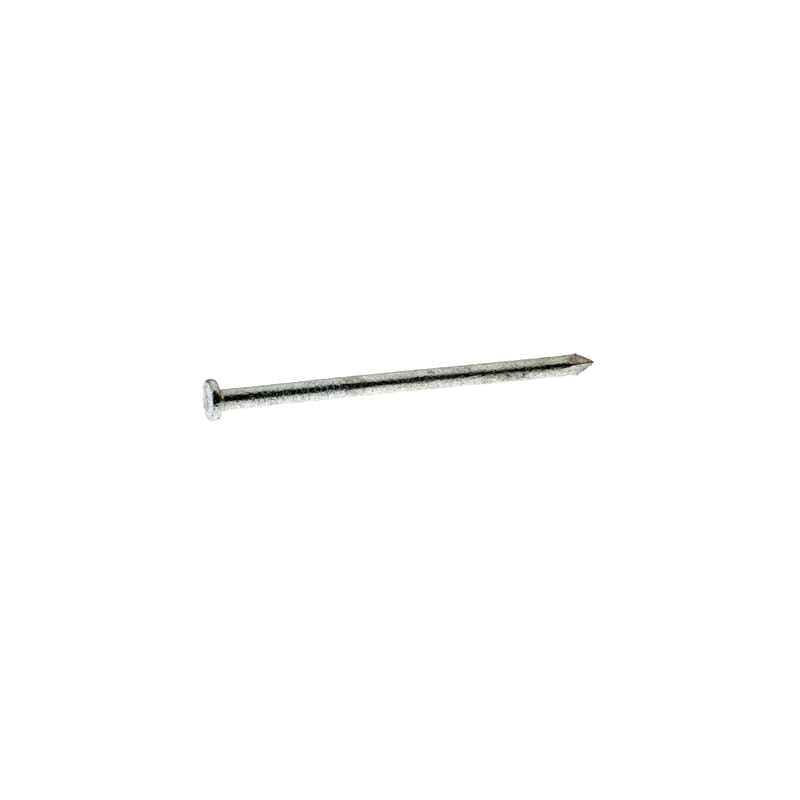 Grip-Rite 12HGC 12D 3-1/4 in. Common Hot-Dipped Galvanized Steel Nail Flat Head 50 lb