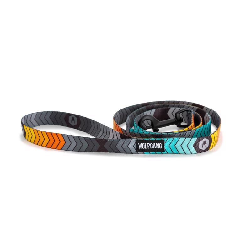 Wolfgang WL-001-108 Multicolored ChevTech Polyester Dog Leash Small/Medium