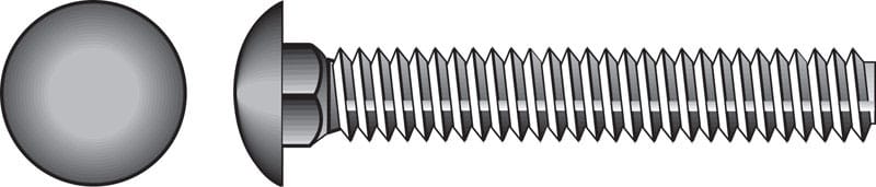 Hillman 0832574 5/16 in. X 2-1/2 in. L Stainless Steel Carriage Bolt 25 pk