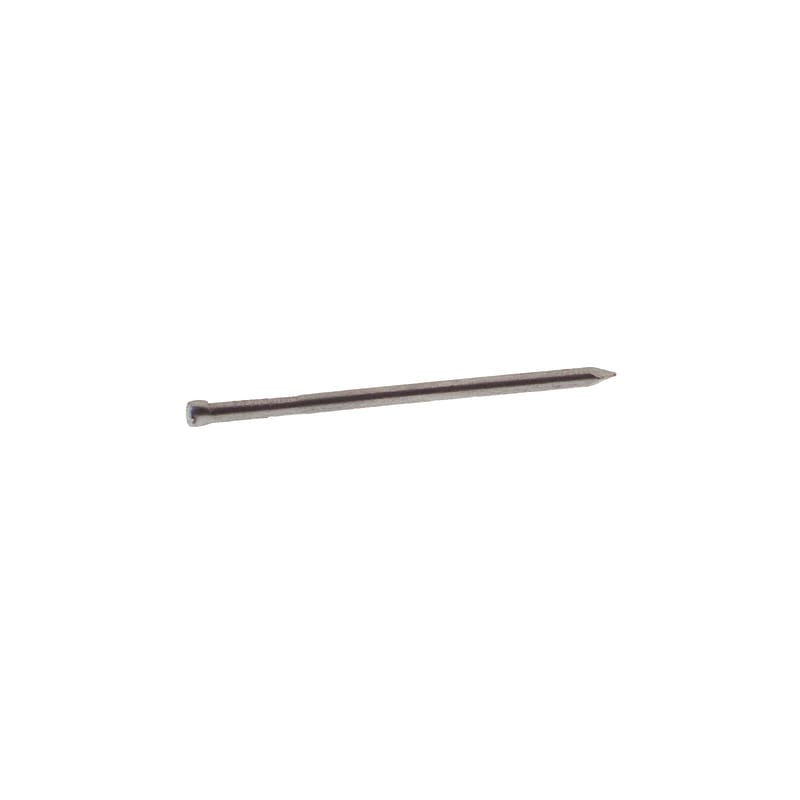 Grip-Rite 8F 8D 2-1/2 in. Finishing Bright Steel Nail Cupped Head 50 lb