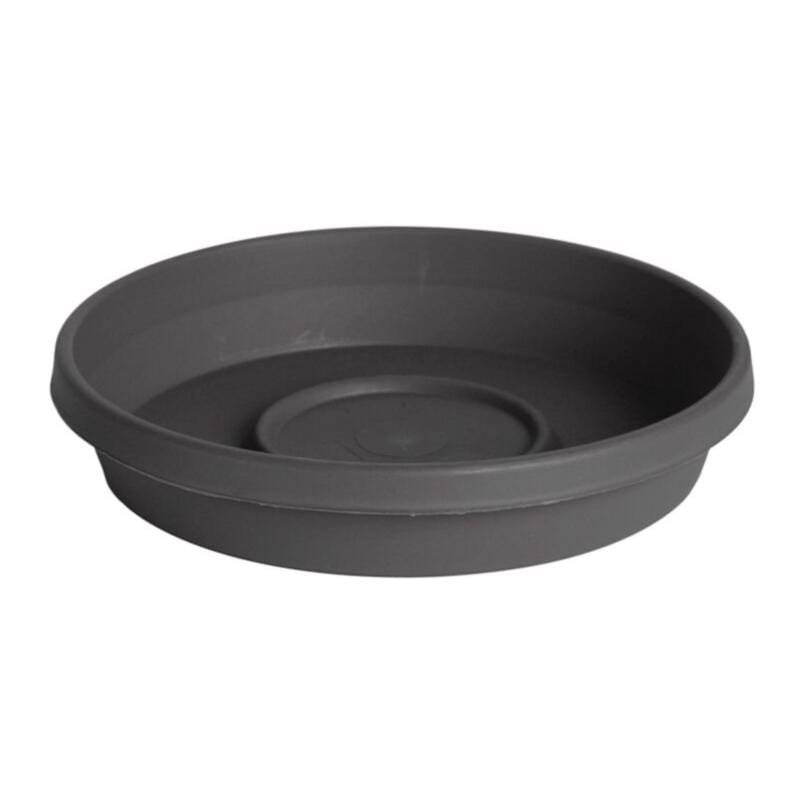 Bloem STT06908 Terra 1 in. H X 5.5 in. W X 4.75 in. D Plastic Traditional Plant Saucer Charcoal