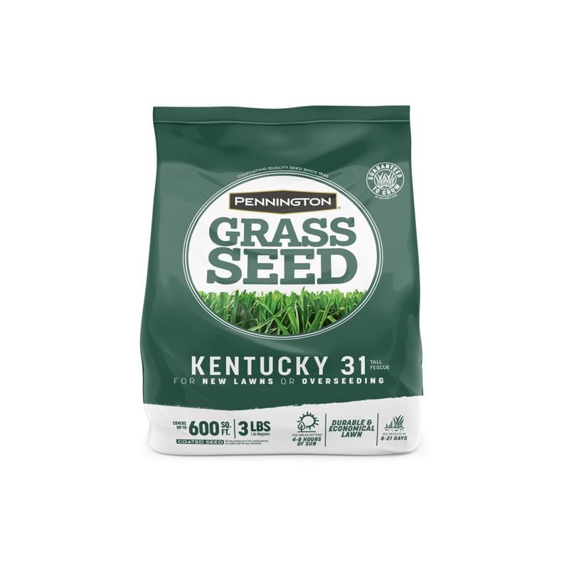 Pennington 100516048 Kentucky 31 Tall Fescue Grass Sun or Shade Grass Seed 3 lb