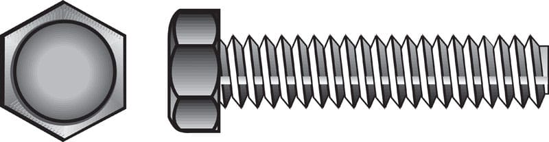 Hillman 221022 5/16 in. D X 6 in. L Zinc Plated Steel Hex Tap Bolt 50 pk