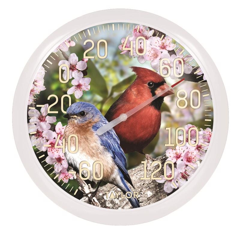 Taylor 6733 Bird Design Dial Thermometer Plastic Multicolored 13.25 in.