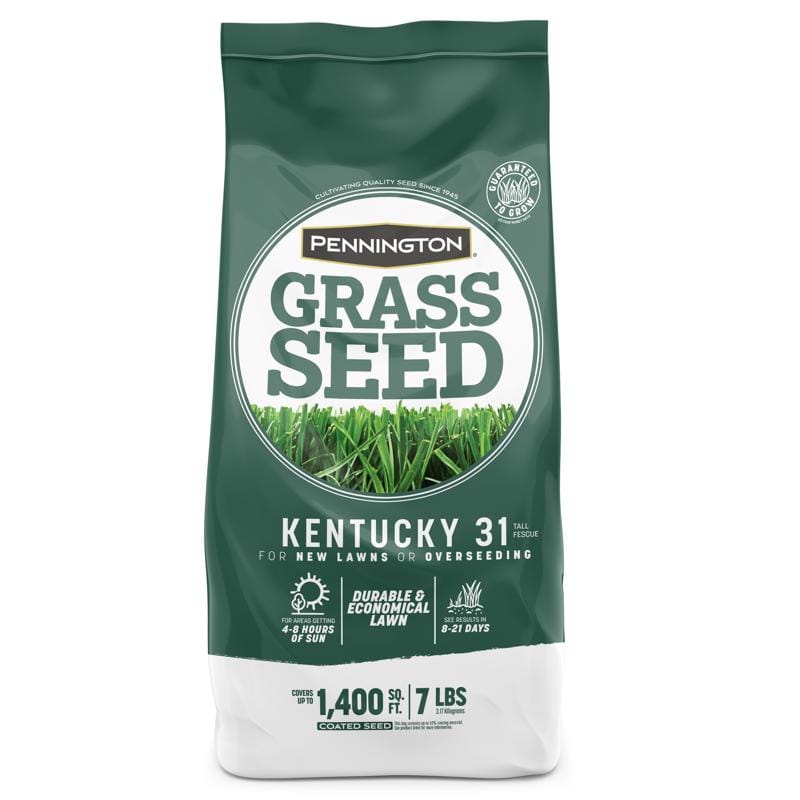 Pennington 100516051 Kentucky 31 Tall Fescue Grass Sun or Shade Grass Seed 7 lb