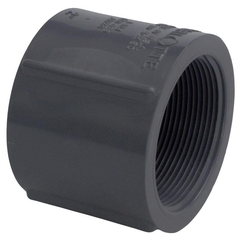 Charlotte Pipe PVC 08102 2000 Schedule 80 2 in. FPT X 2 in. D FPT PVC Coupling 1 pk