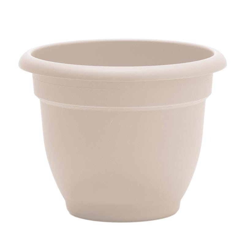 Bloem AP0611 Ariana 5.25 in. H X 6.5 in. W X 6 in. D Plastic Traditional Planter Cream