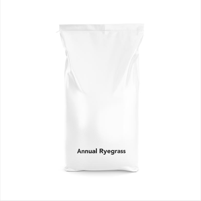 Barenbrug ARG50PLT Oregon Grown Annual Ryegrass Partial Shade/Sun Grass Seed 50 lb