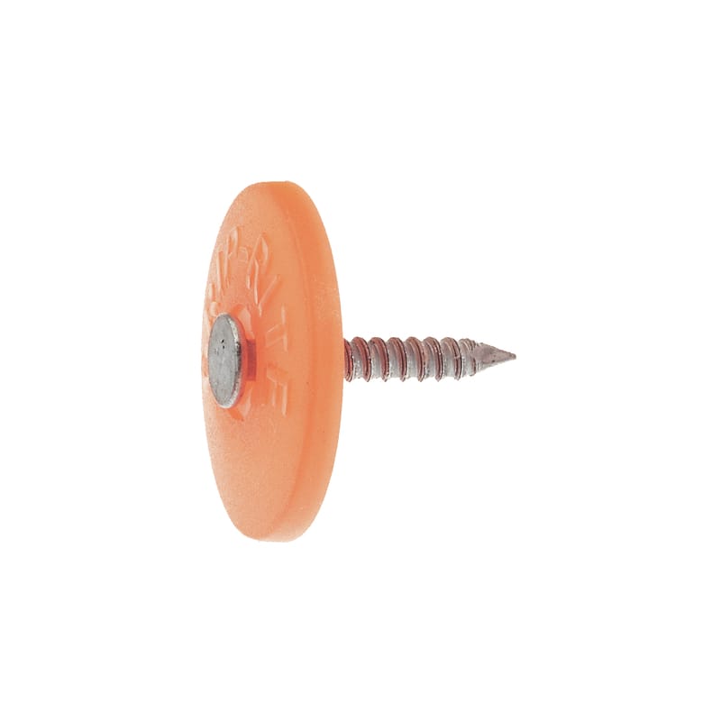 Grip-Rite 1PRCAP1 No. 12 1 in. Cap Electro-Galvanized Steel Nail Plastic Head 1 lb