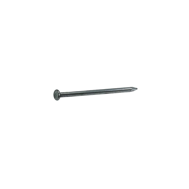 Grip-Rite 30C 30D 4-1/2 in. Common Bright Steel Nail Flat Head 50 lb
