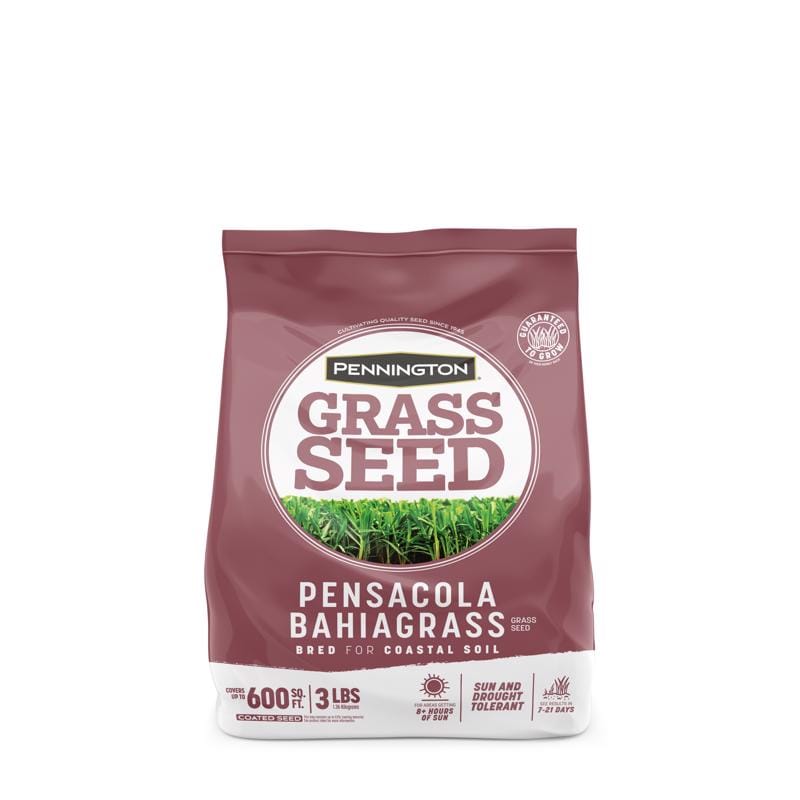 Pennington 100543689 Pensacola Bahiagrass Full Sun Grass Seed 3 lb