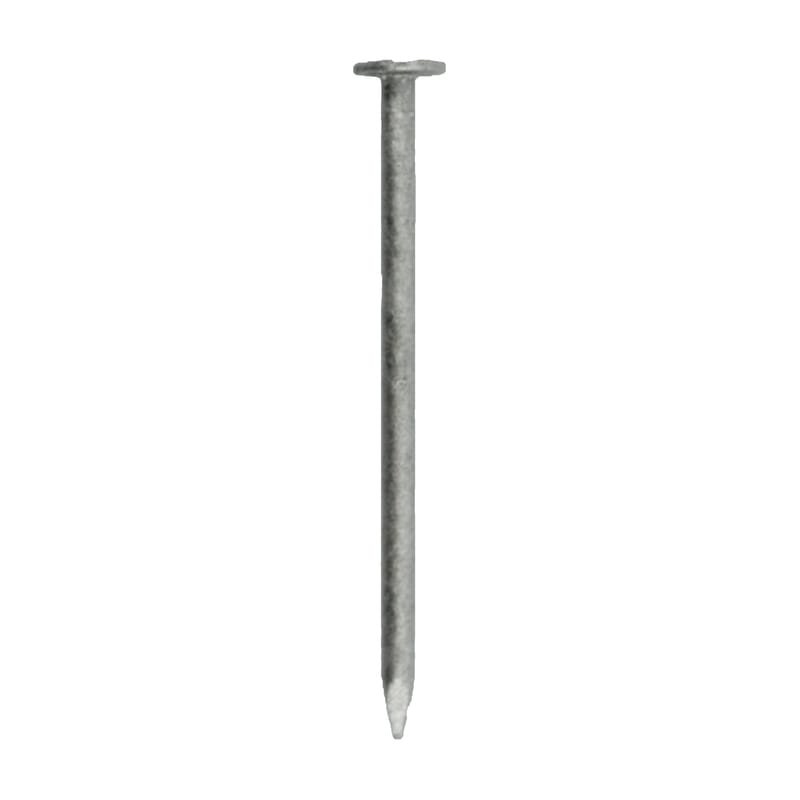 Grip-Rite 4HGBX1 4D 1-1/2 in. Box Hot-Dipped Galvanized Steel Nail Flat Head 1 lb