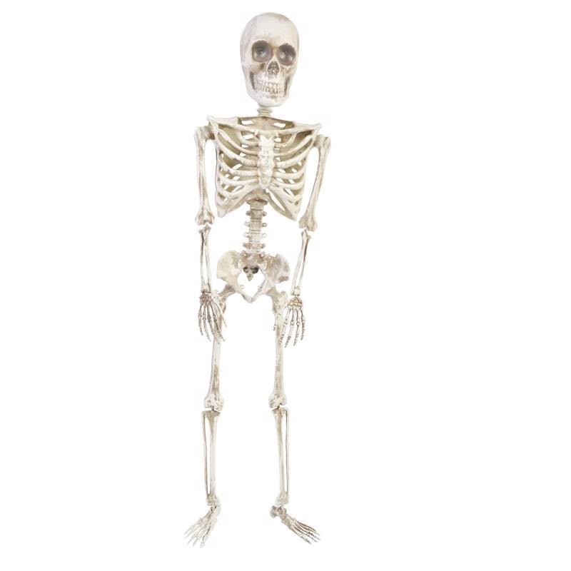Fun World 91473 36 in. Articulated Skeleton Halloween Decor