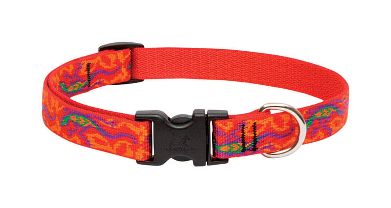 Lupinepet 41001 Original Designs Multicolor Go Go Gecko Nylon Dog Adjustable Collar