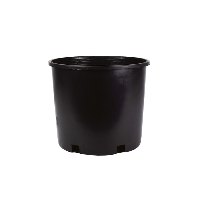 HC Companies NSS005G2G18D025 Squat 10.25 in. H X 12 in. W X 12 in. D X 12 in. D Plastic Modern Nursery Container Bla