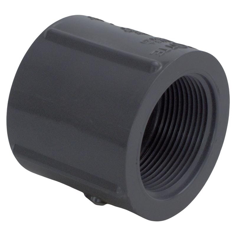 Charlotte Pipe PVC 08102 1400 Schedule 80 1 in. FPT X 1 in. D FPT PVC Coupling 1 pk