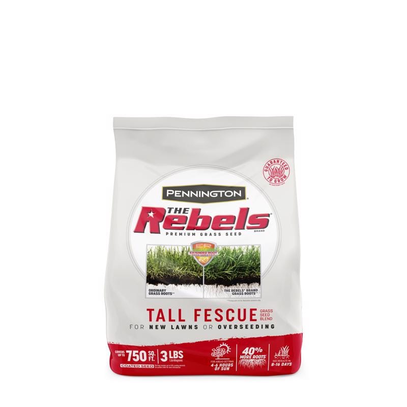 Pennington 100543728 The Rebels Tall Fescue Grass Sun or Shade Grass Seed 3 lb