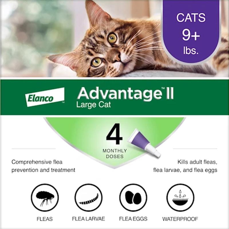 Elanco 81520224-APC Advantage II Liquid Cat Flea Drops Imidacloprid/Pyriproxyfen 0.108 oz