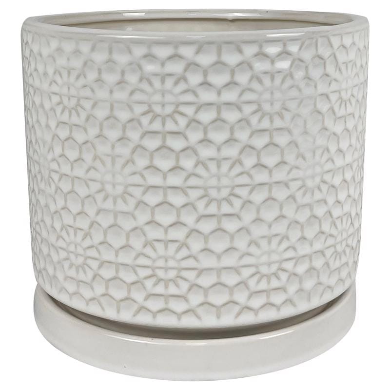 Border Concepts 533335 10 in. D Ceramic Amelia Planter White