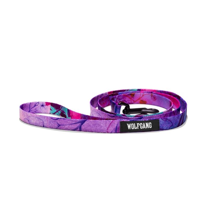 Wolfgang WL-001-33 Multicolored DayDream Polyester Dog Leash Small/Medium