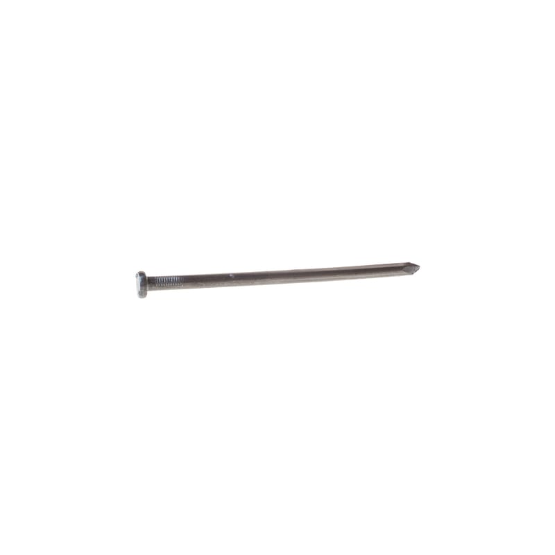 Grip-Rite 12HGSPK 12 in. Spike Hot-Dipped Galvanized Steel Nail Flat Head 50 lb