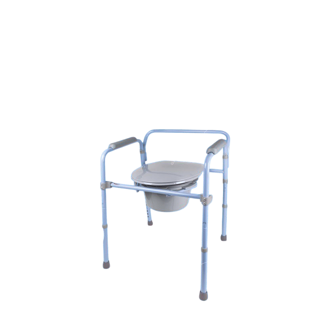 Toilet Safety