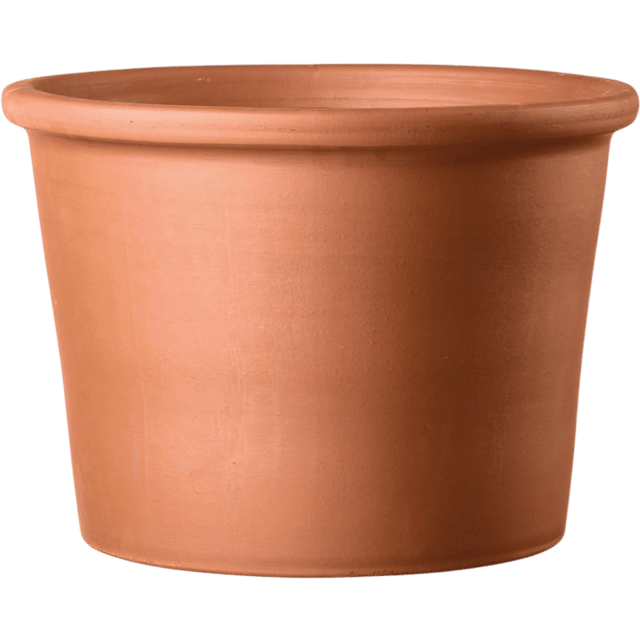 Terracotta Planters