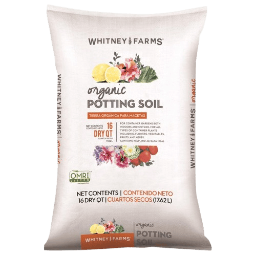 Soils - Small Bag