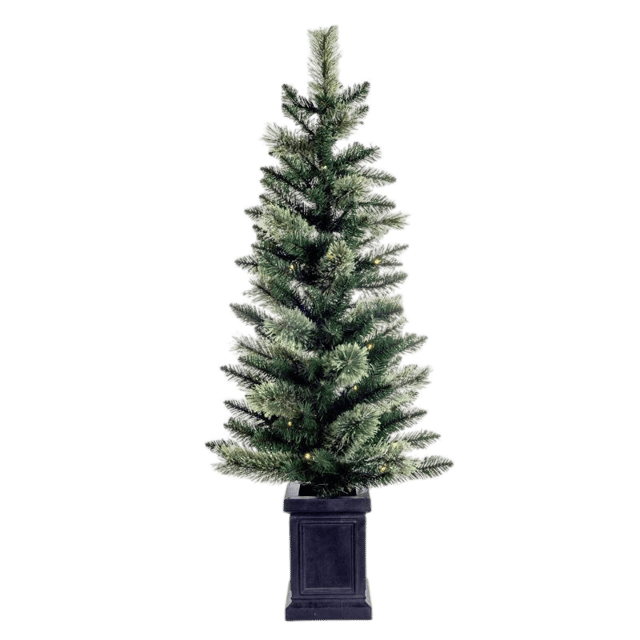 Trees Under 6ft