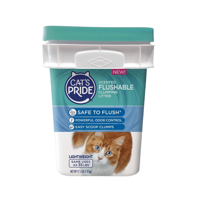 Cat Litter