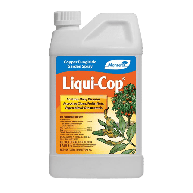 Fungus Control
